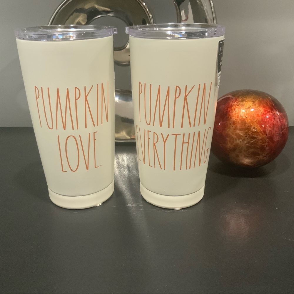 RAE DUNN STAINLESS STEEL TUMBLERS